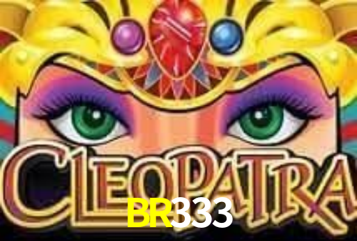 BR333