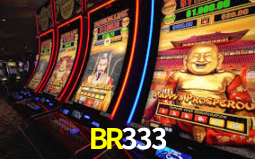 BR333