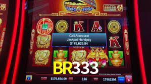 BR333