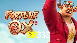 BR333,BR333.Com