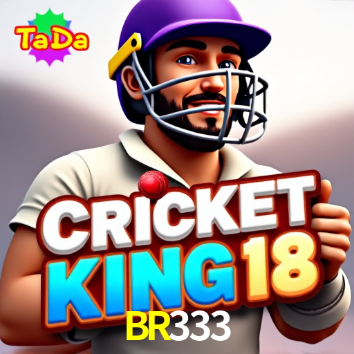 BR333